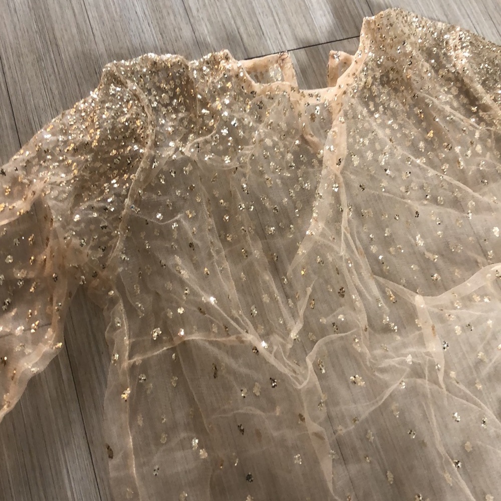 Lirika Matoshi Nude Sheer Blouse with Gold Sequin Embellishment
